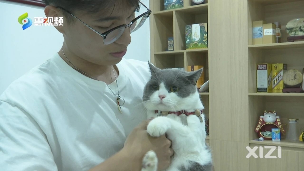 “它经济”持续迸发新活力