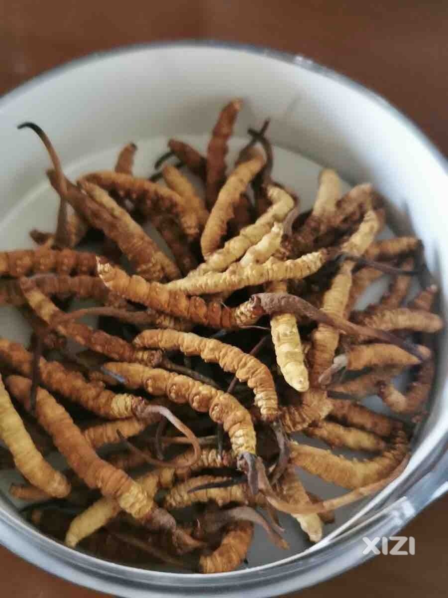 天气热搞几条树枝推
