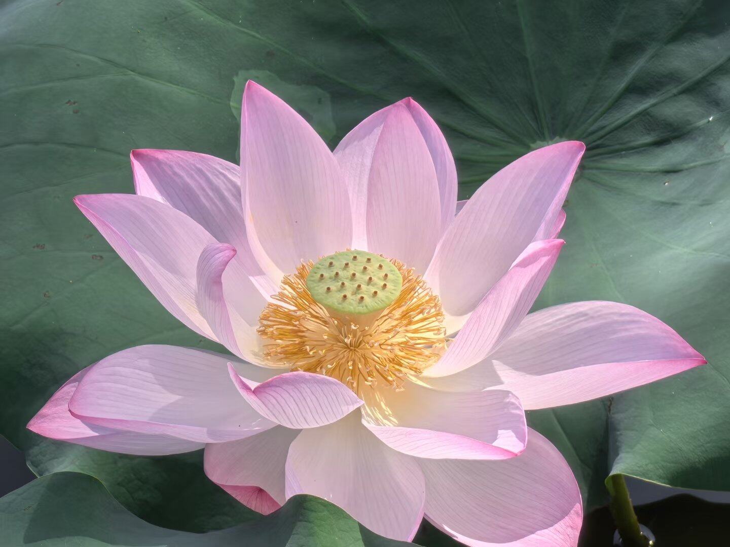 翻篇