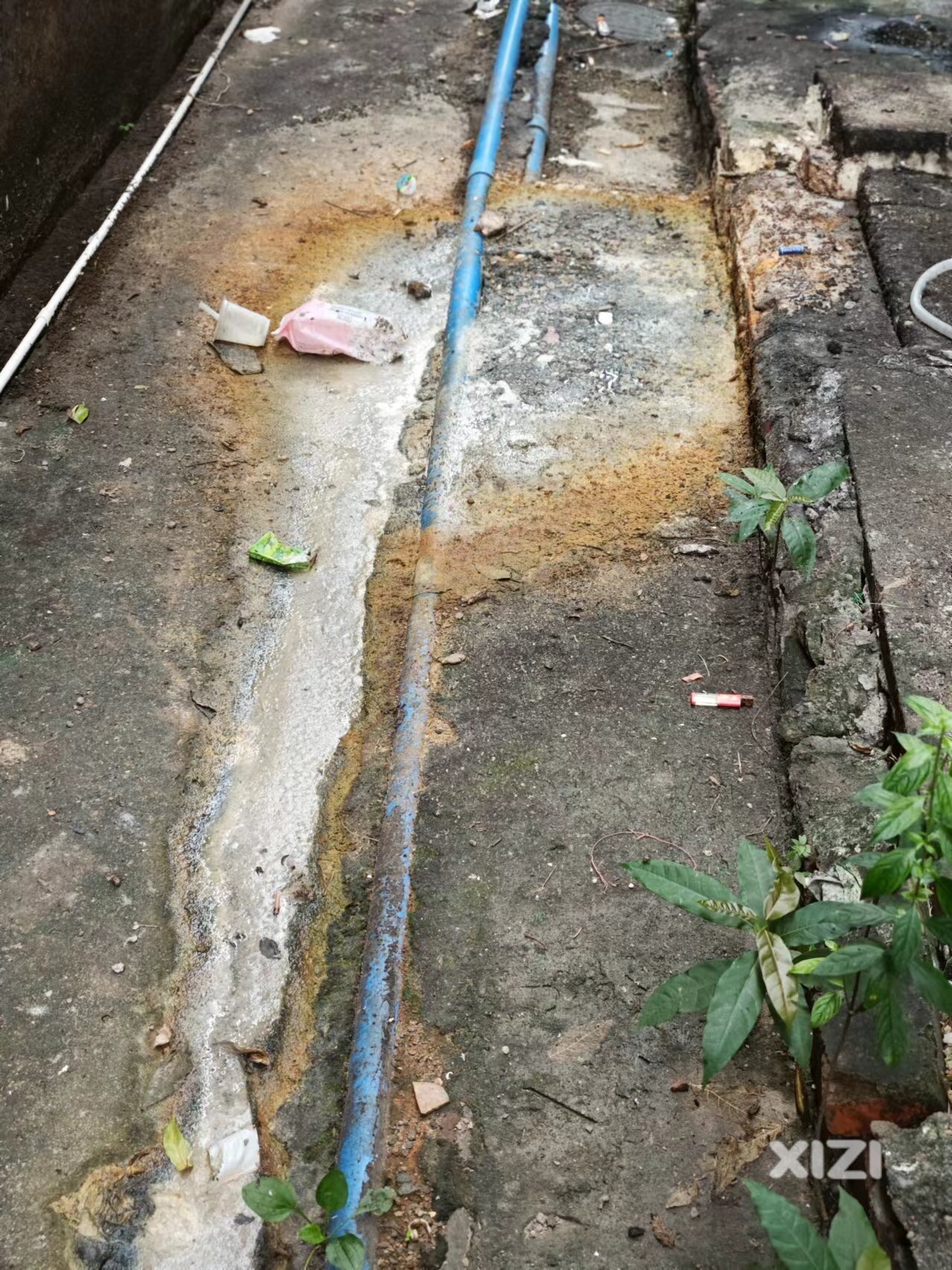 陈江甲子路永乐街臭气熏天