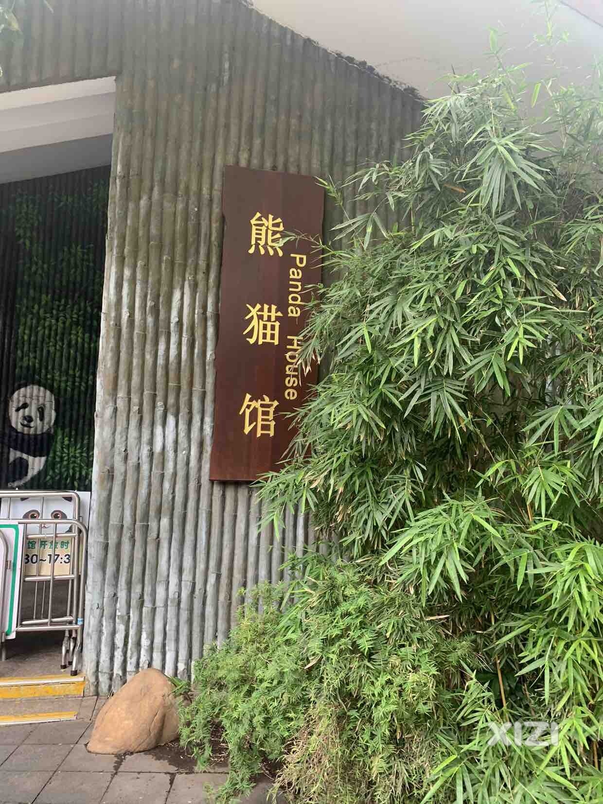 逛广州动物园，看了顶
