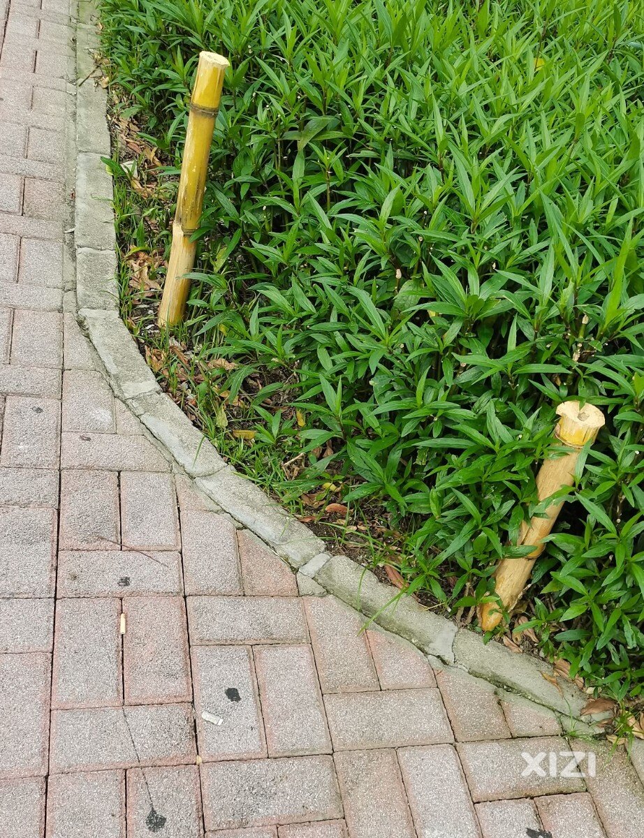 这活干的真糙