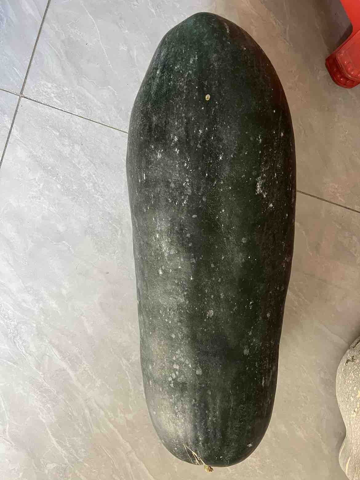 冬瓜熟了，花生很快可