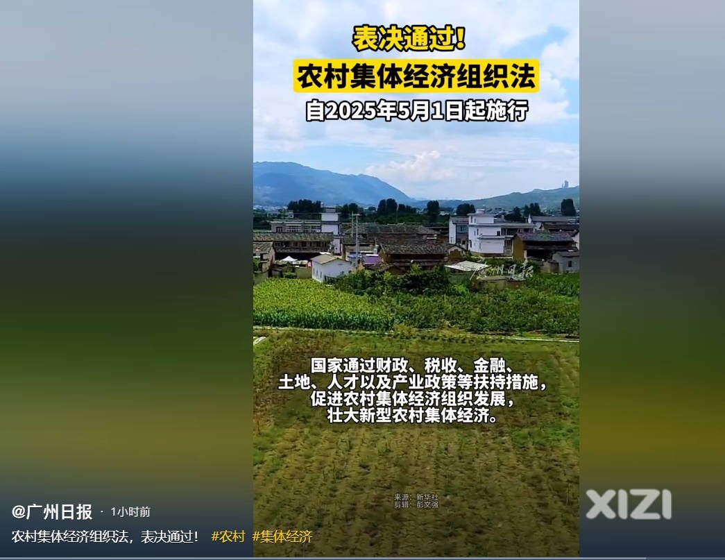 你们投了票