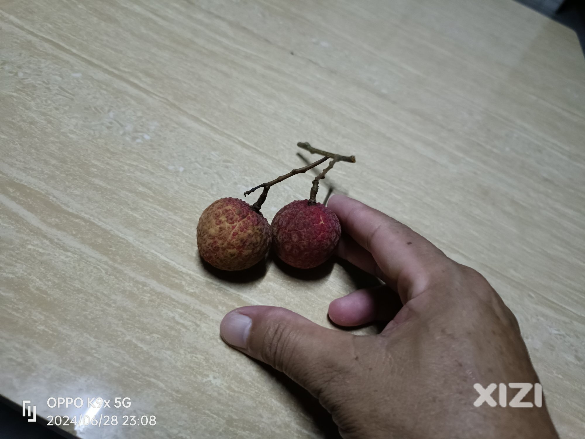 荔枝之极品＂小禾山＂吊打糯米糍，桂味天价之果！！！