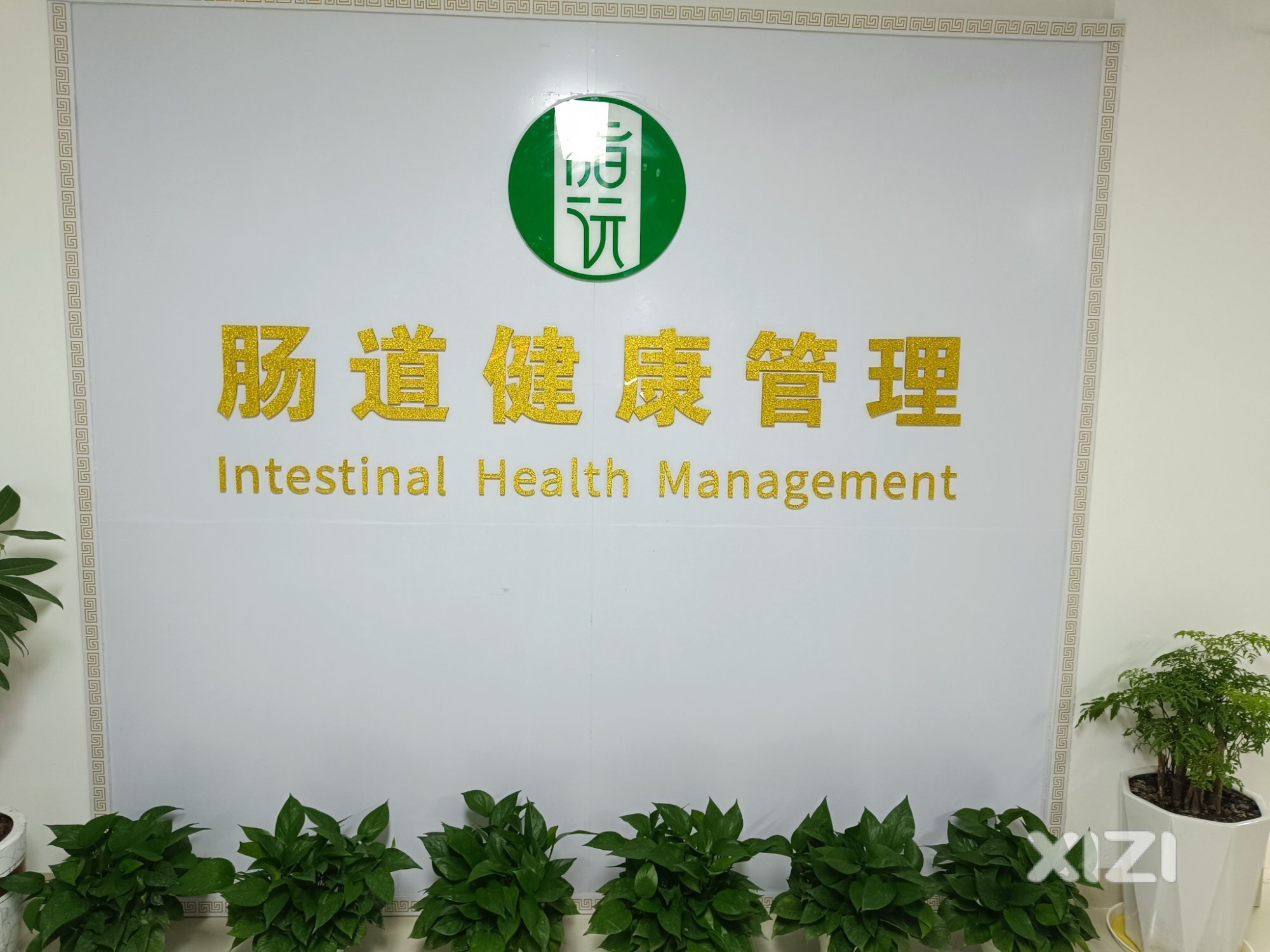 红棉慈善会与惠州脂沅肠道健康管理中心共谱慈善新篇