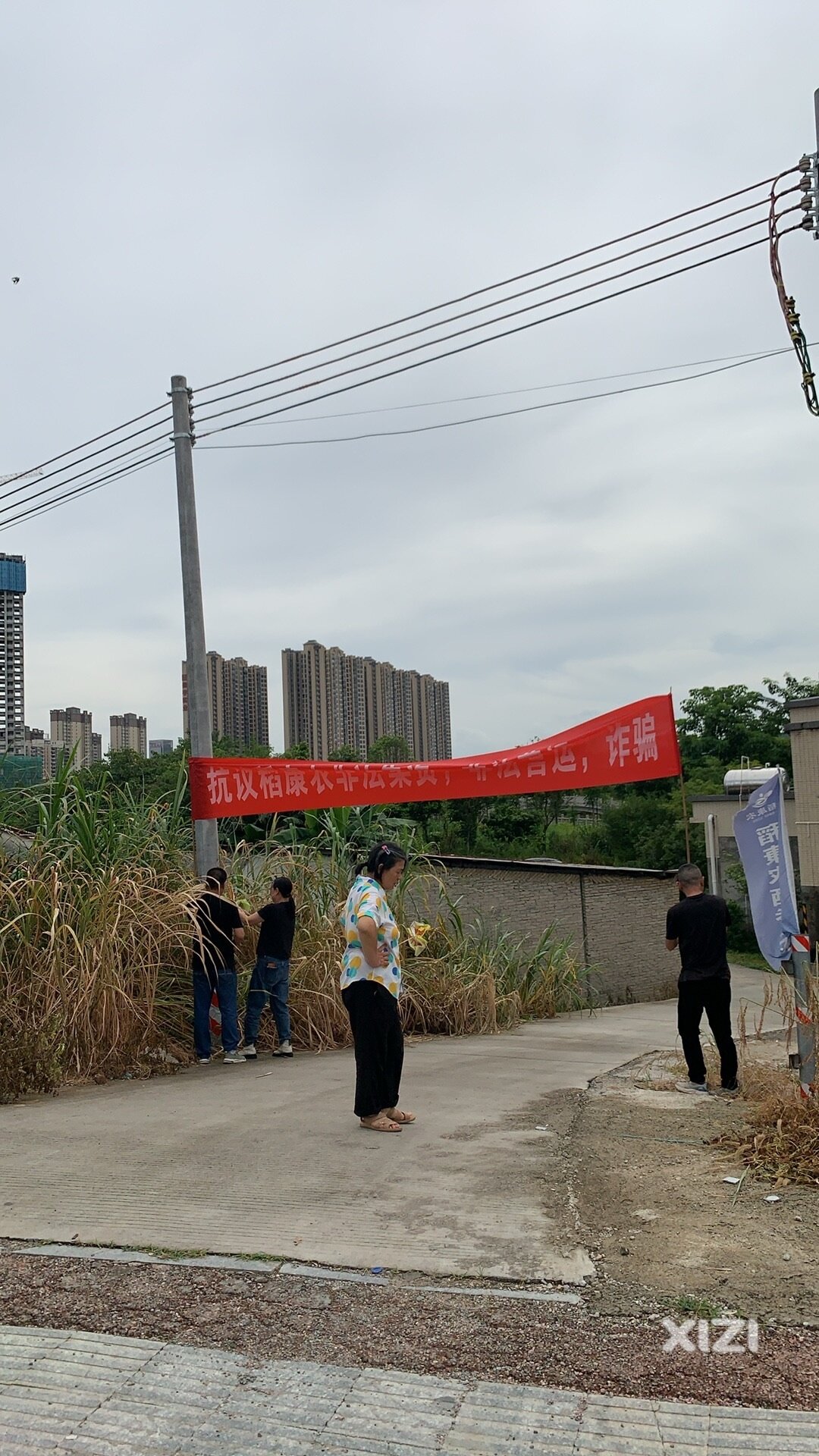 稻康农总部诈骗2000会员上千万