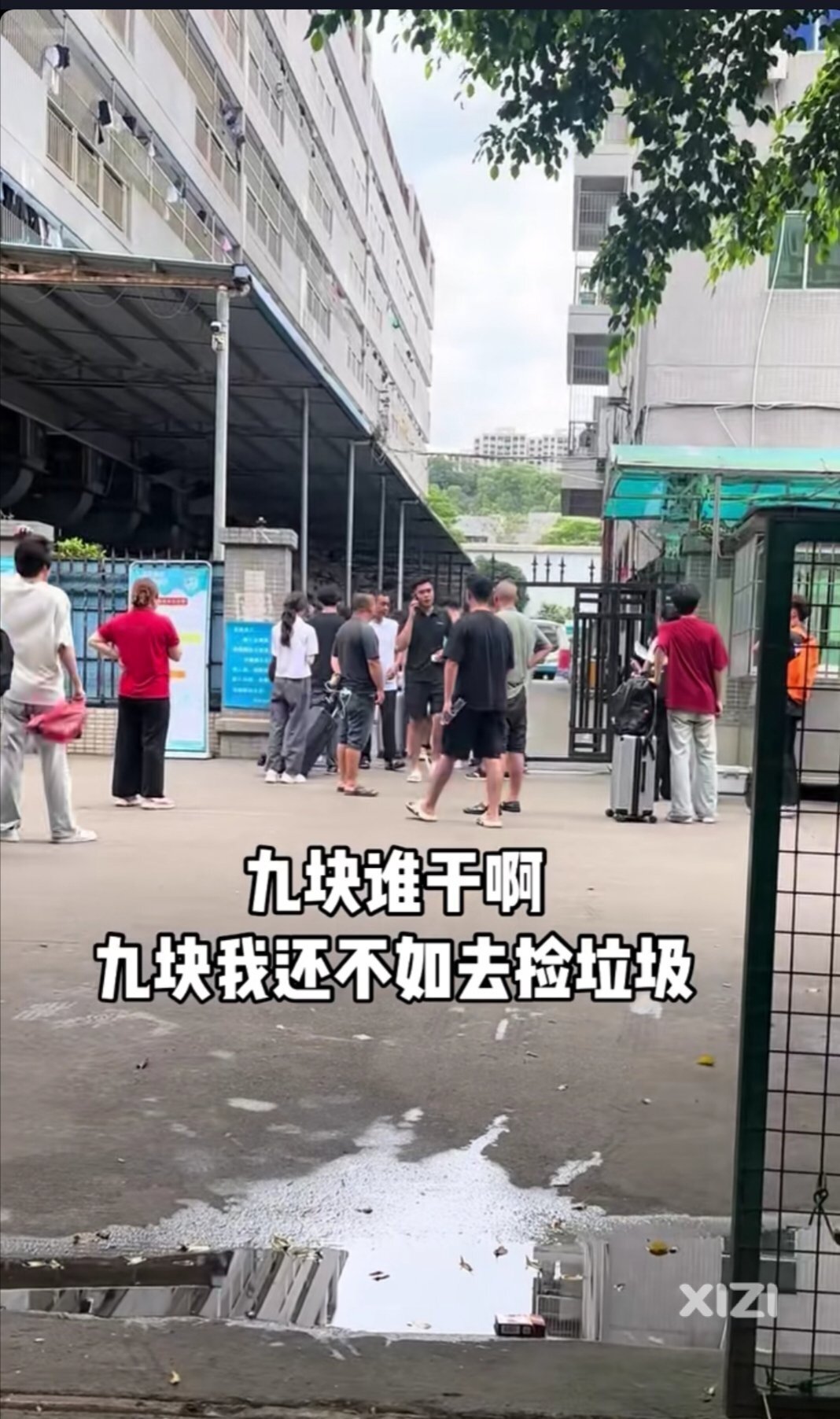 这年头找工作都不容易。失业。都卷。惠州进厂9块一个小时了。