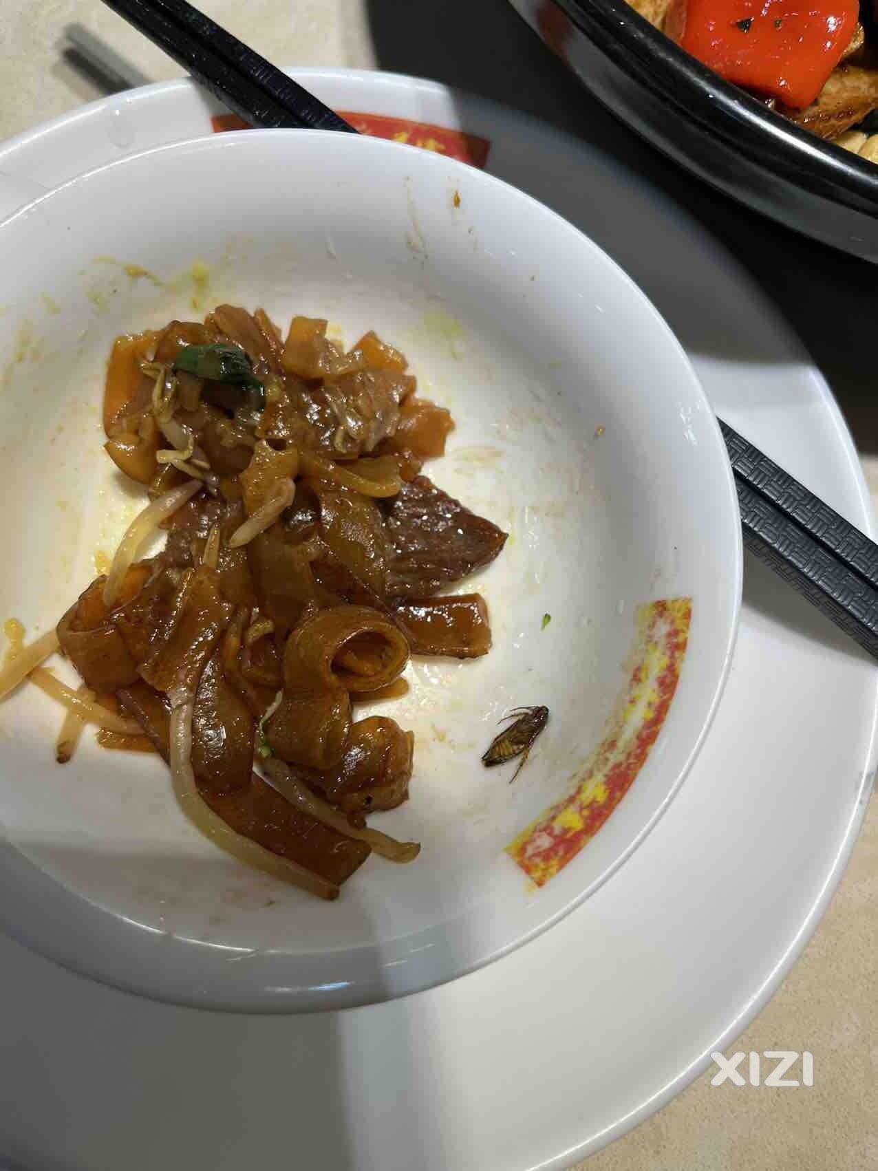 香港九龙餐厅吃到吃到蟑螂店家一直踢皮球+无视，心累，懒得追了