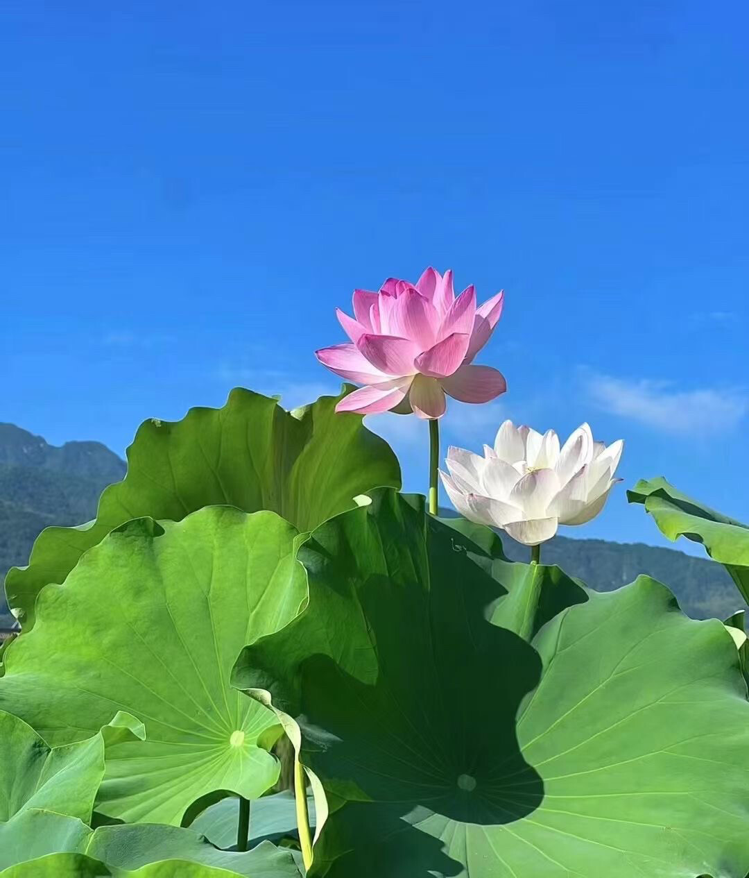 删除上半年的烦恼，开启下半年的快乐