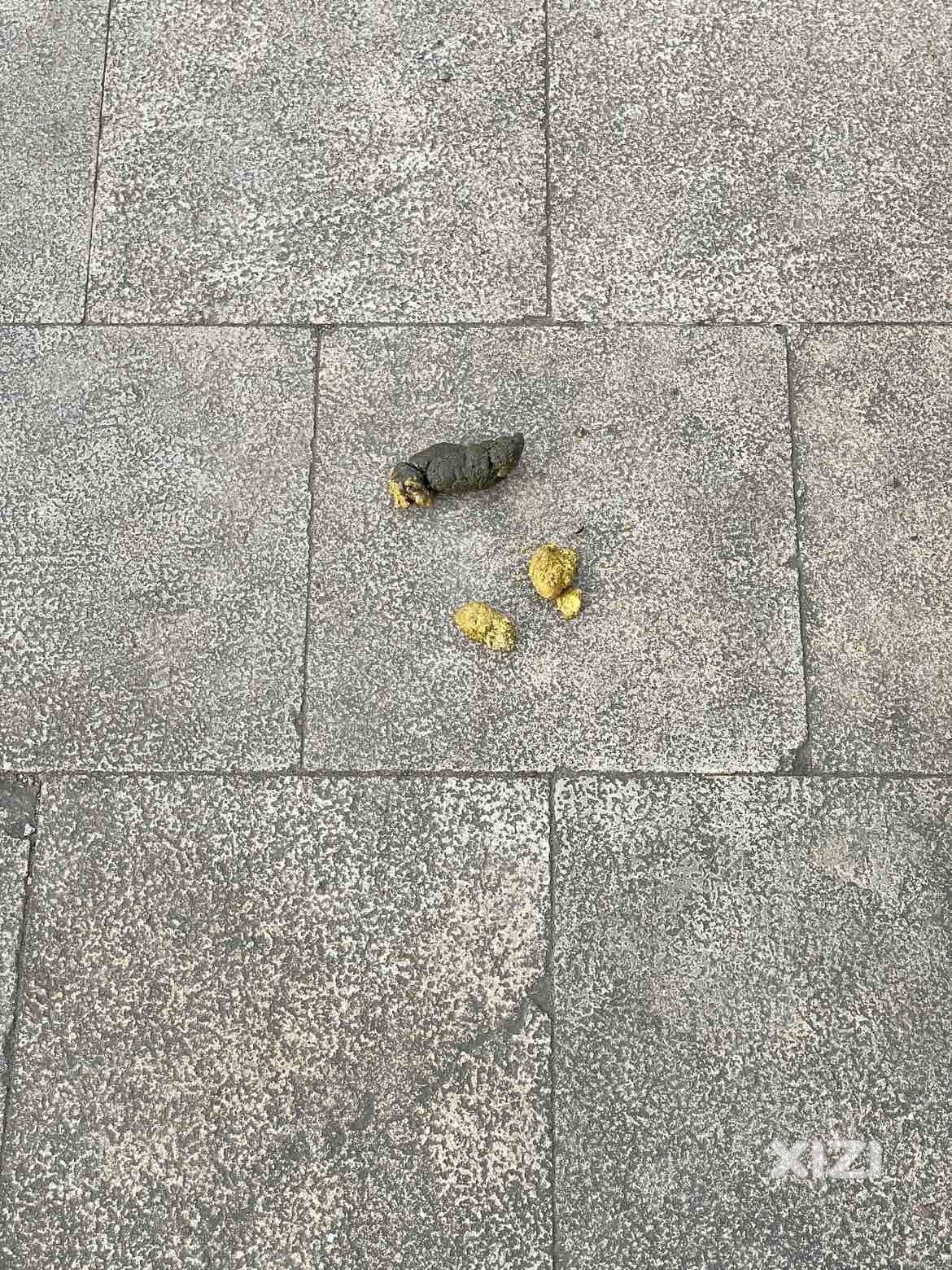 當看到這些的時候，可