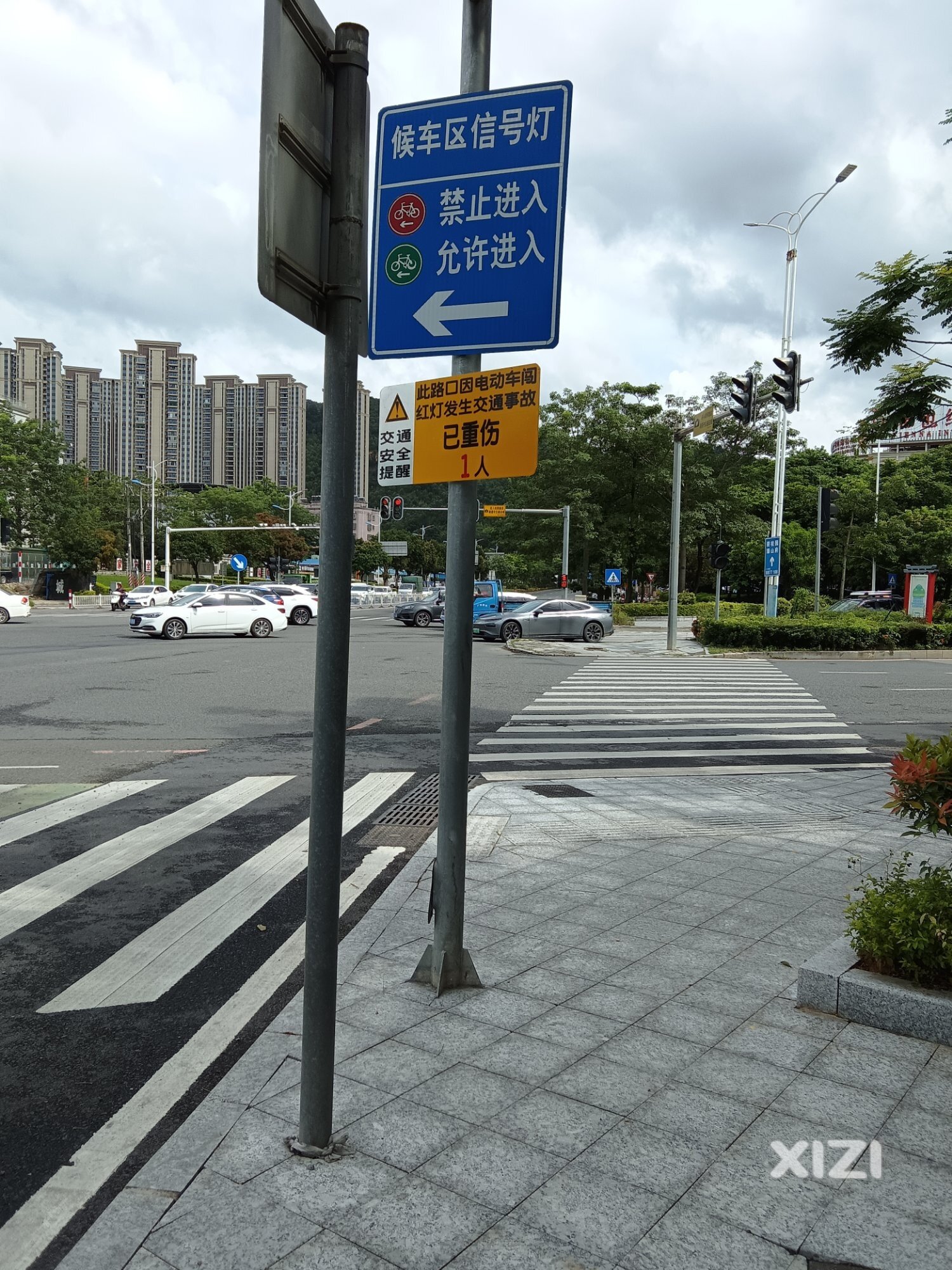 立此存照