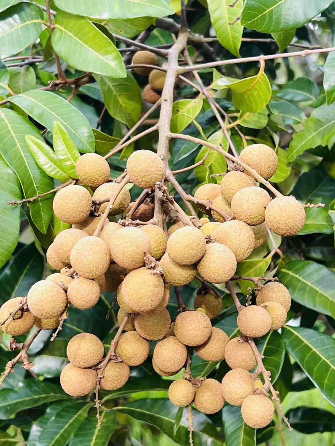 等吃