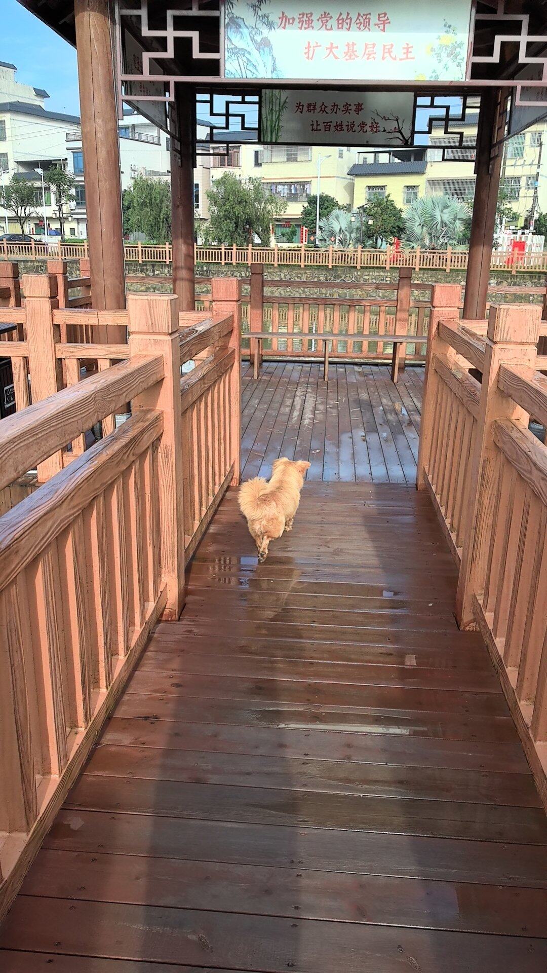 梦中情地