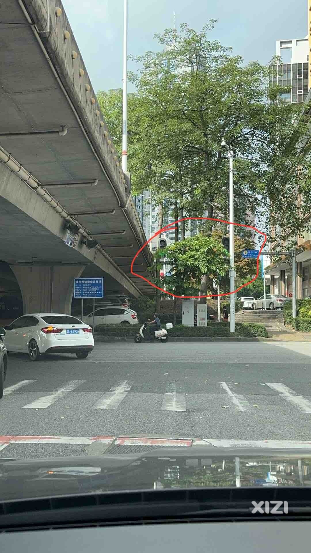 红绿灯被遮挡了，希望