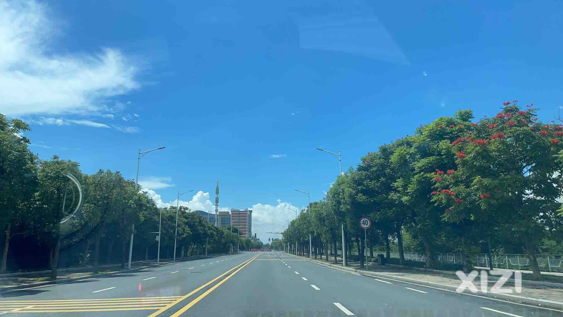 天气真好