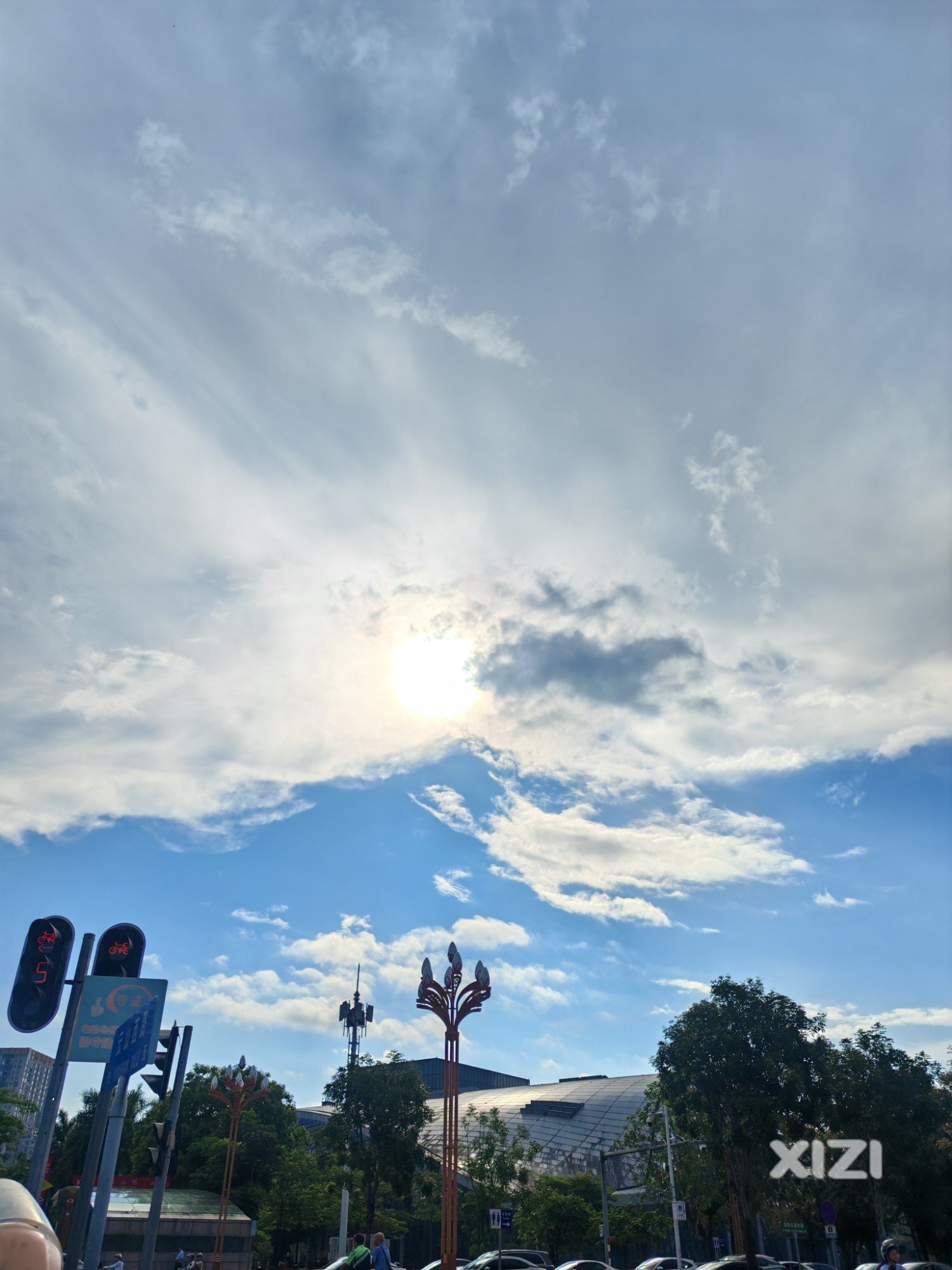 烈日当空照，花儿对我