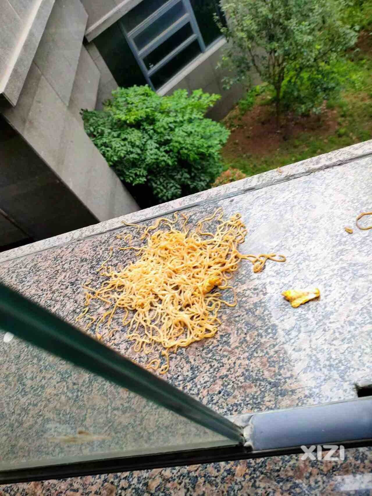 遇到这样的邻居也是挺