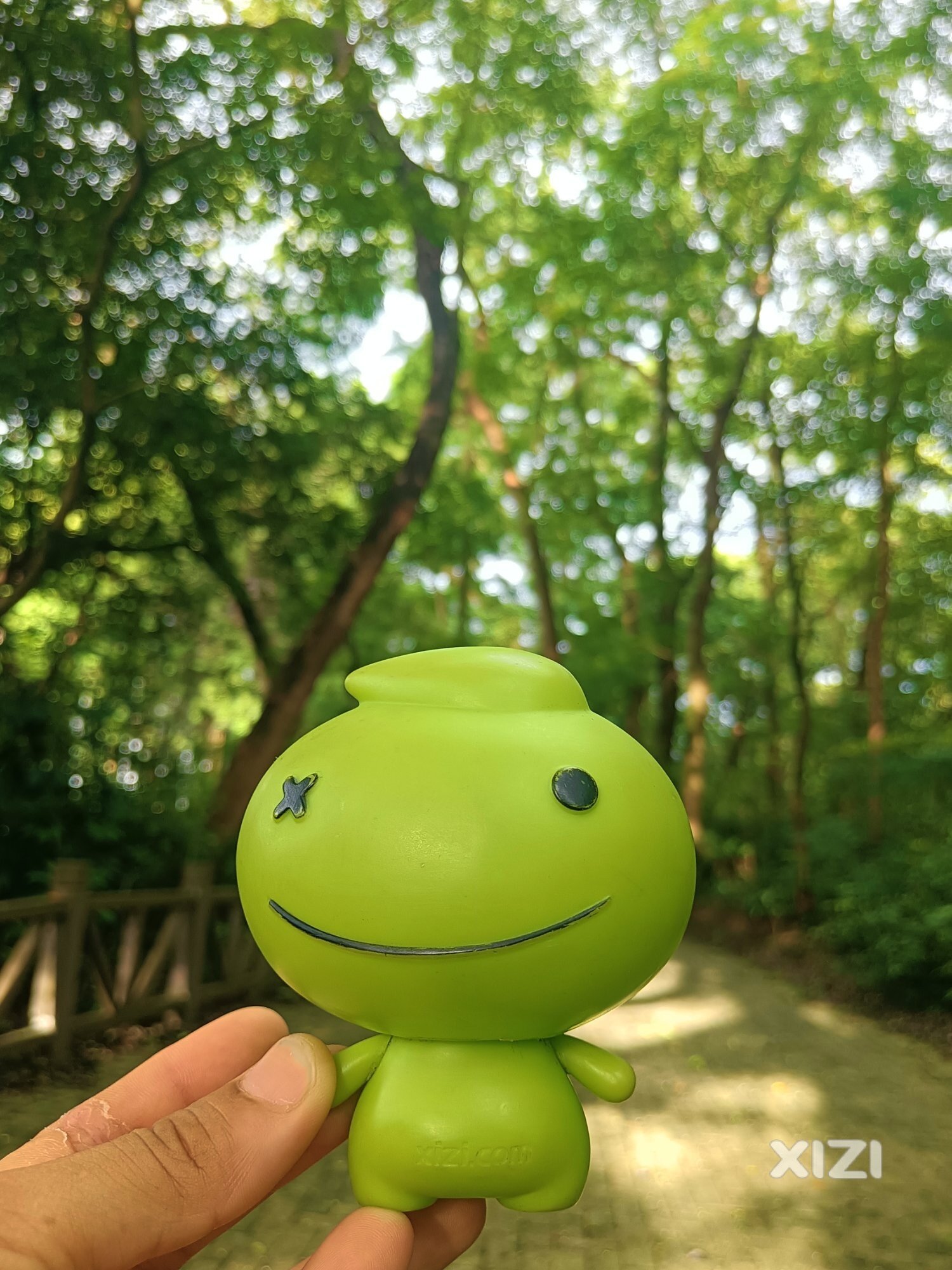 带着小西四处浪～