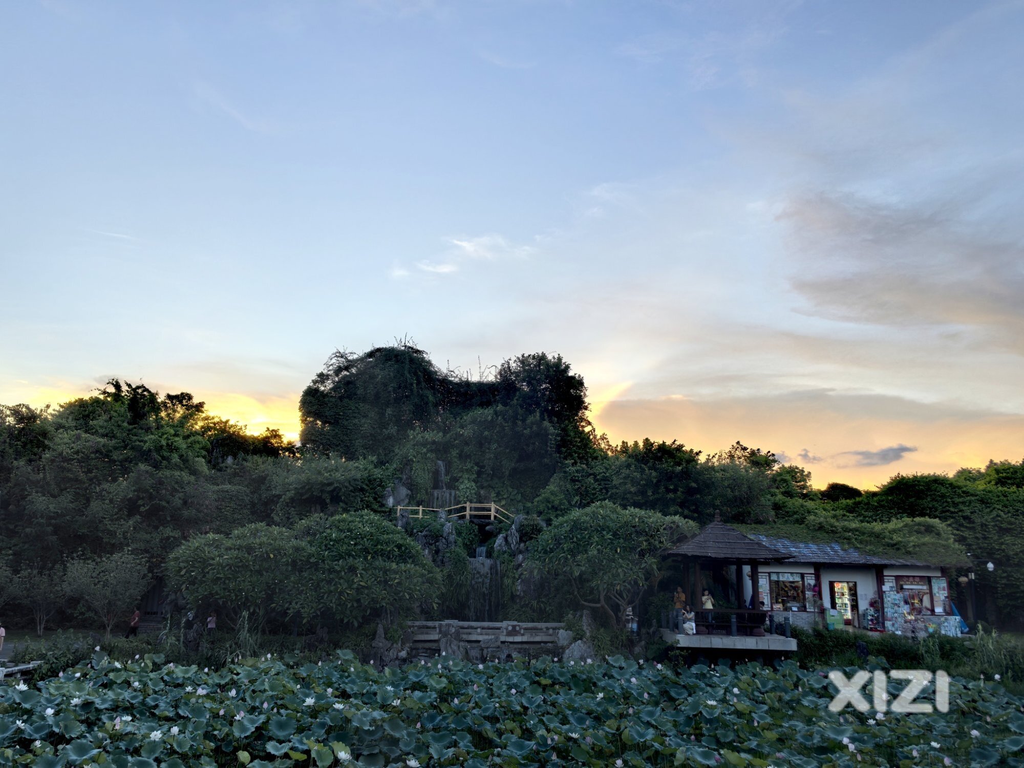 丰渚园夕阳美不胜收