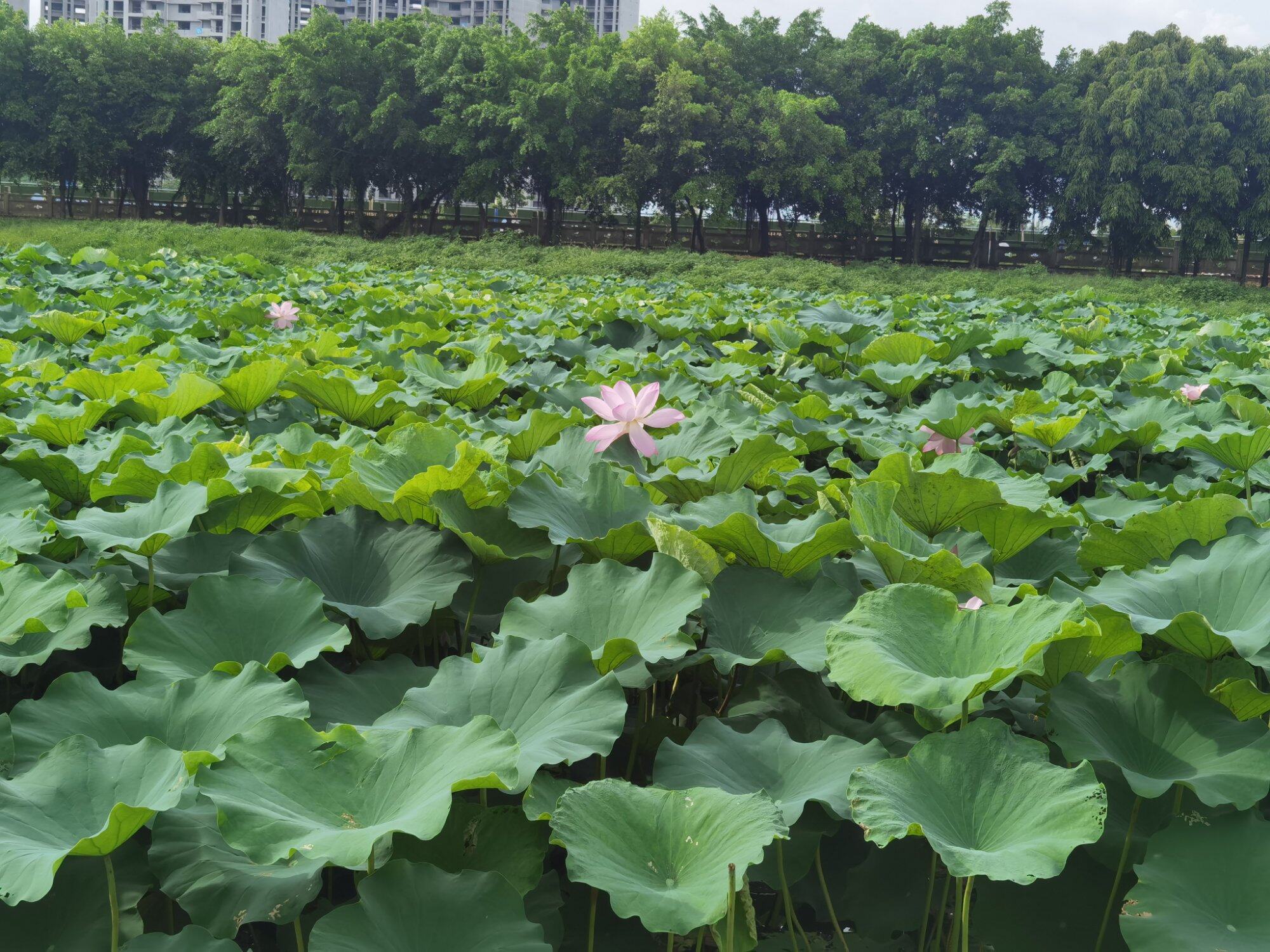 你晚上几点睡？