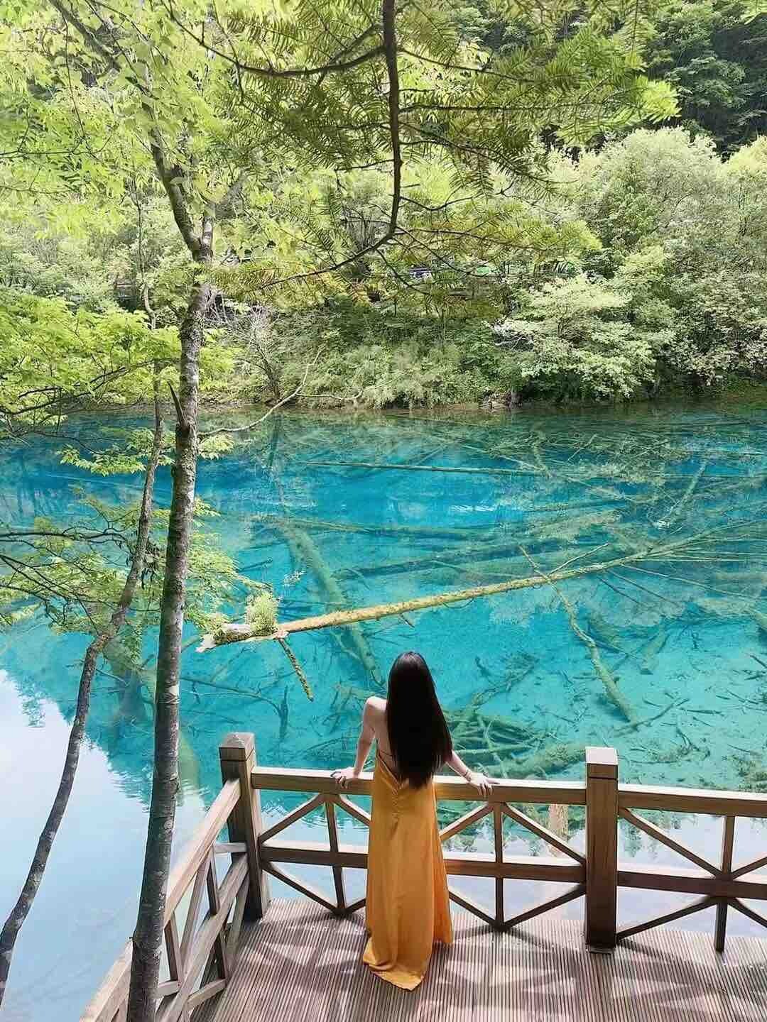 马安的那位大哥啊你能不能缓一缓啊？让我先征个婚……