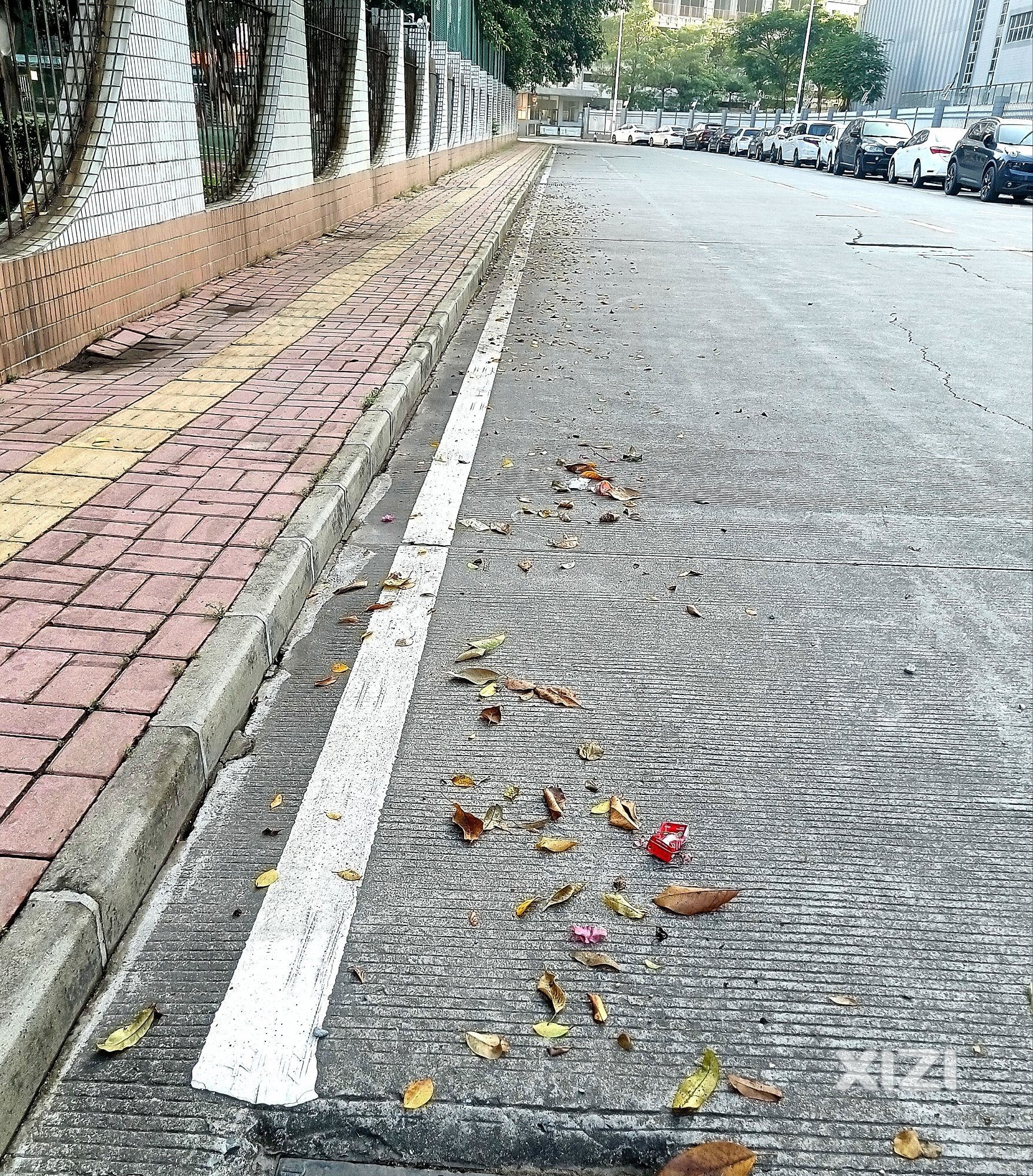 爱惠州人人有责