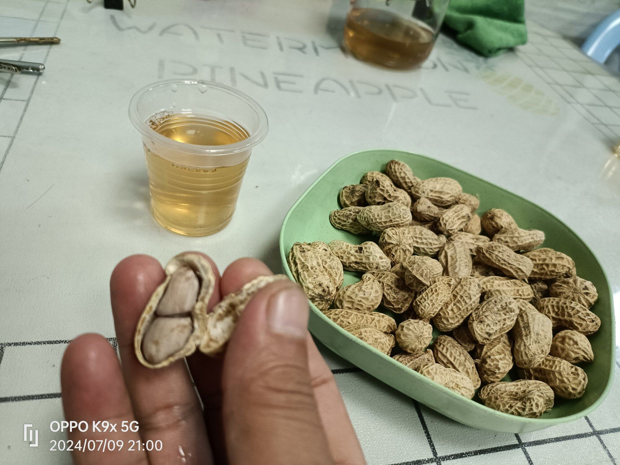 土炮烧酒邦咸香地豆
