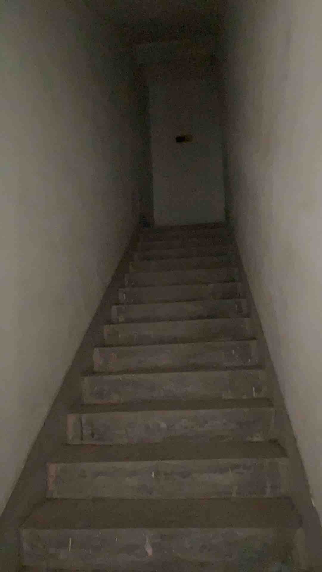 我的妈呀，爬死我了。