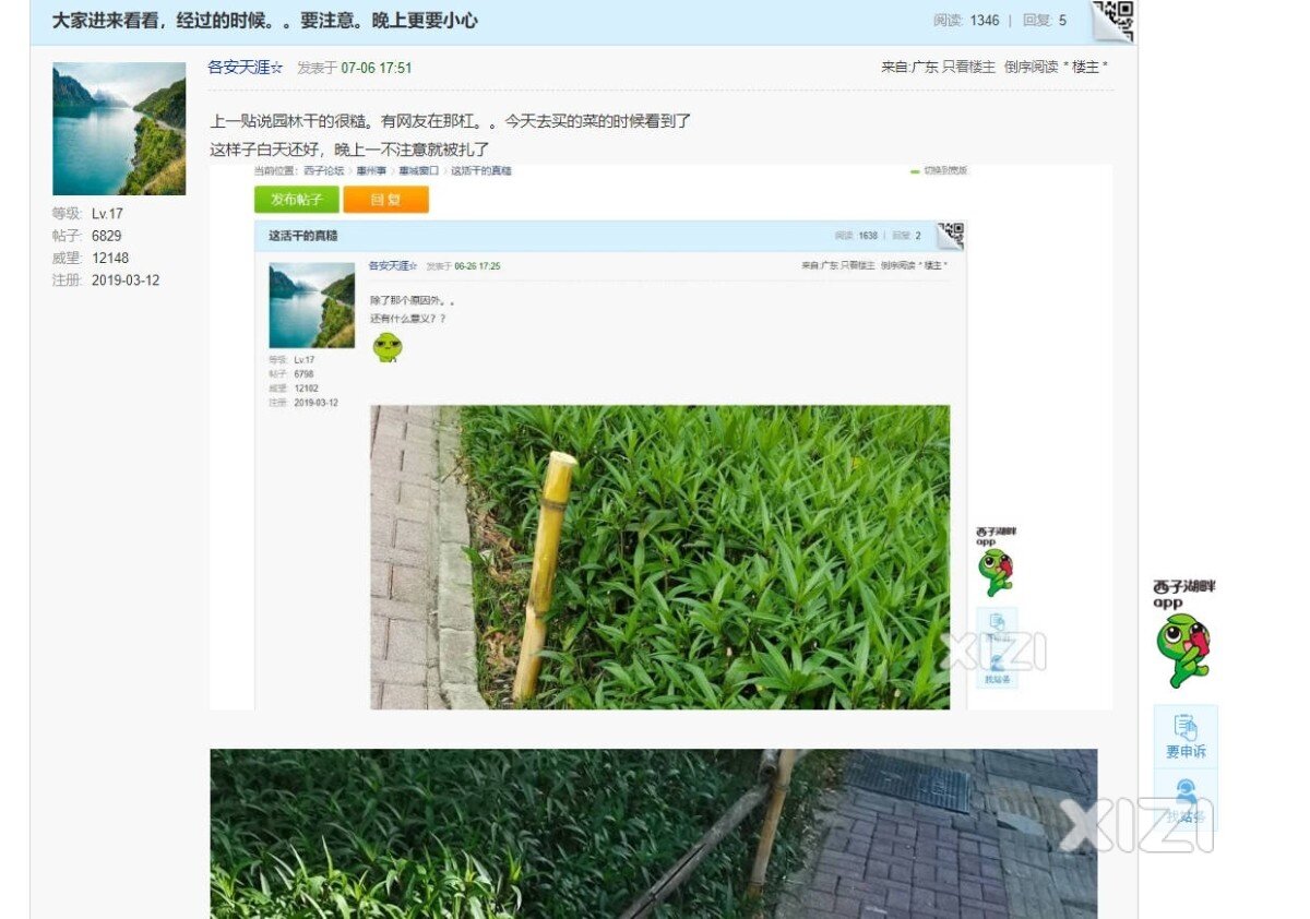 现在的市政园林工程，
