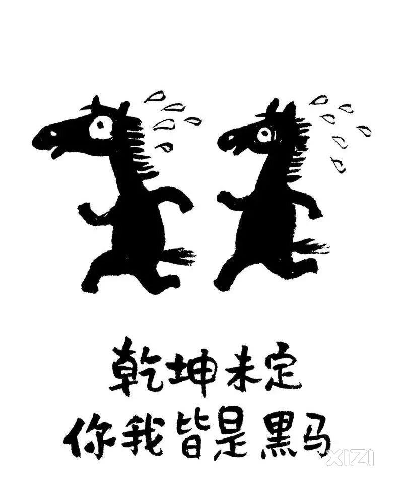 大神进，预测中考录取分数线