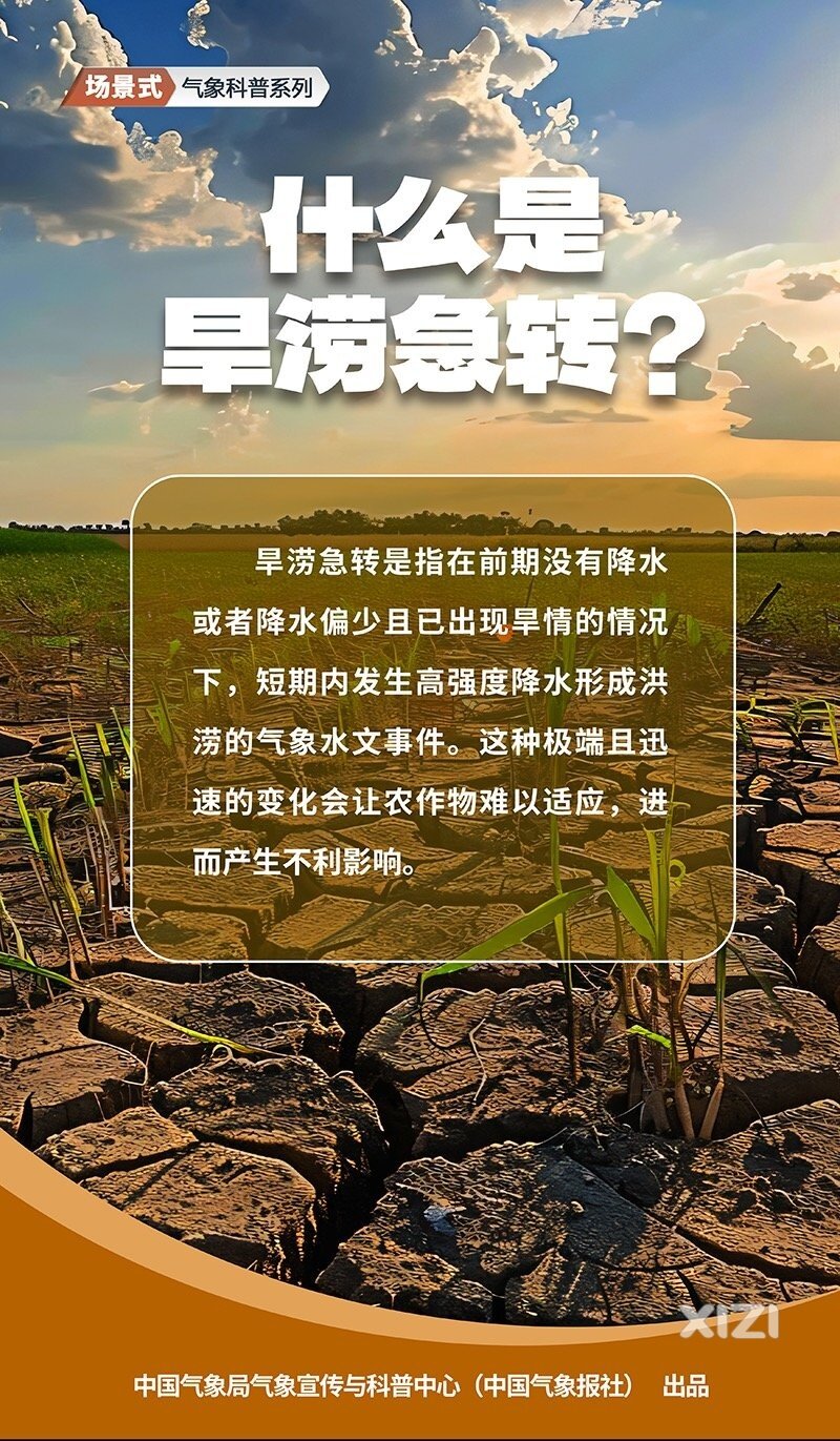 “旱涝急转”不用慌，这些方法来“救场”