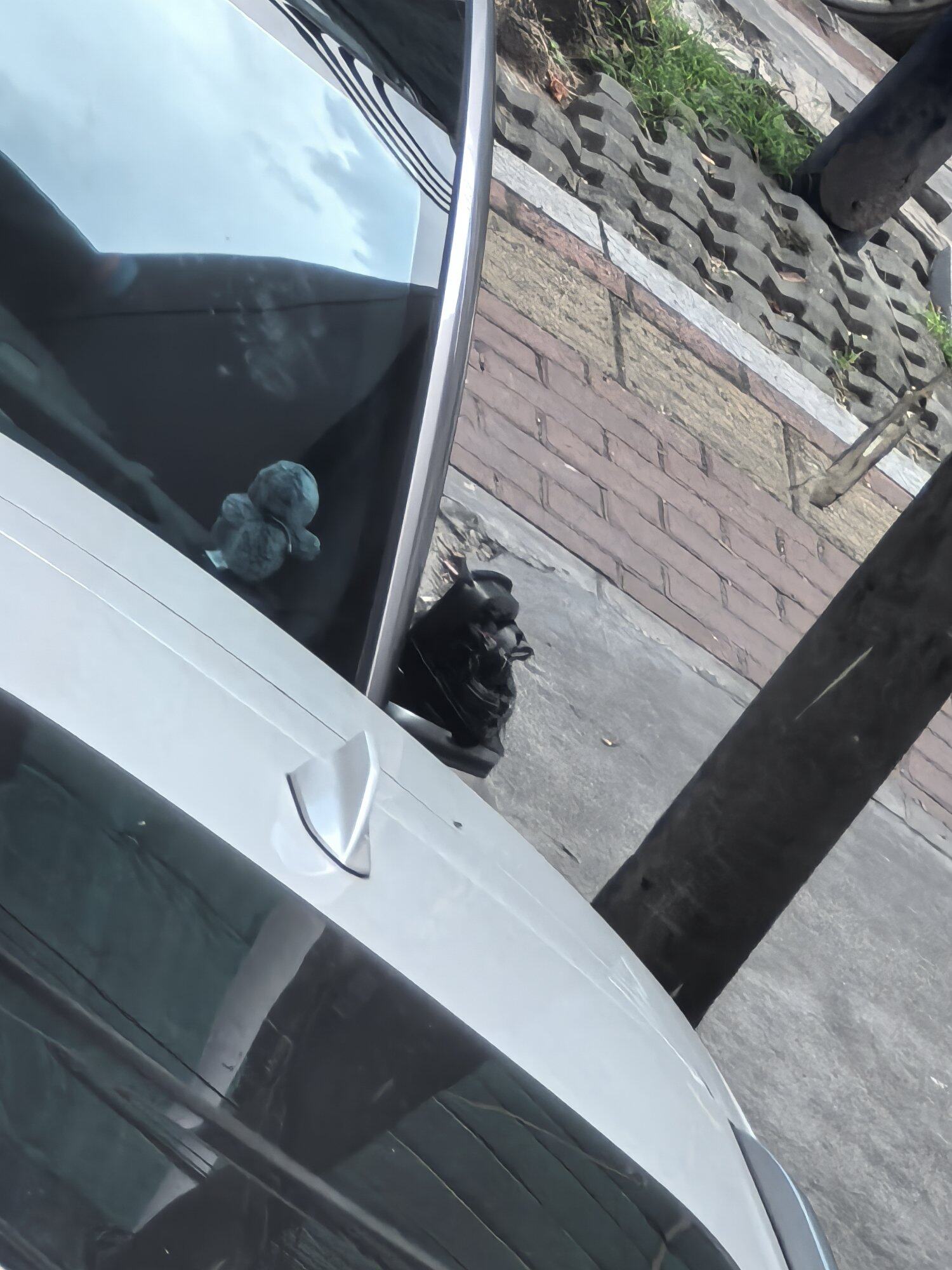 这种恶劣性质难道不应该严惩么