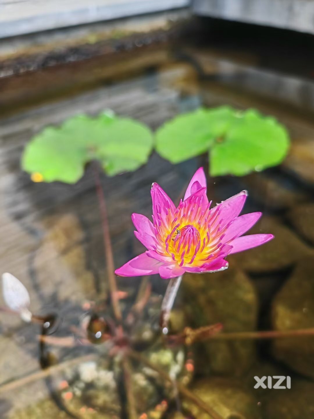 家长们不要急，今年一中分数线一定在650以下！