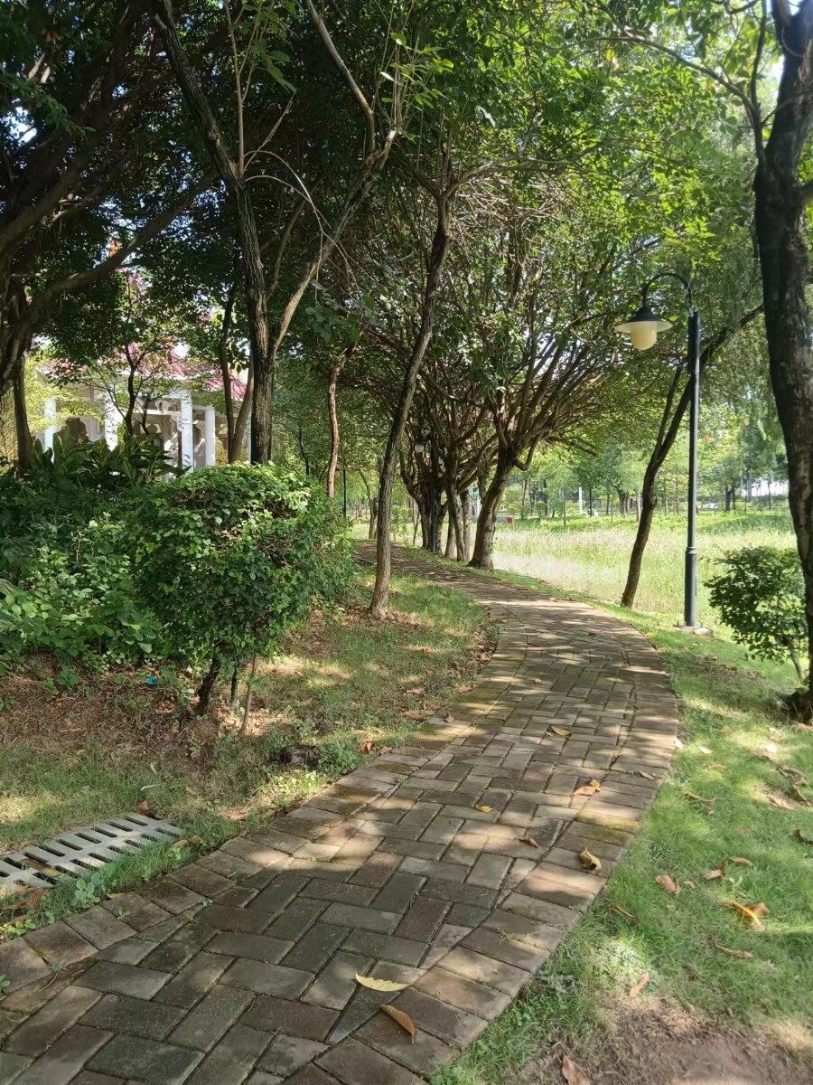 人生将及不惑，琐事何其多艰？唯有踔厉奋发，才能砥砺前行。