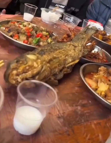 滚蛋鱼？