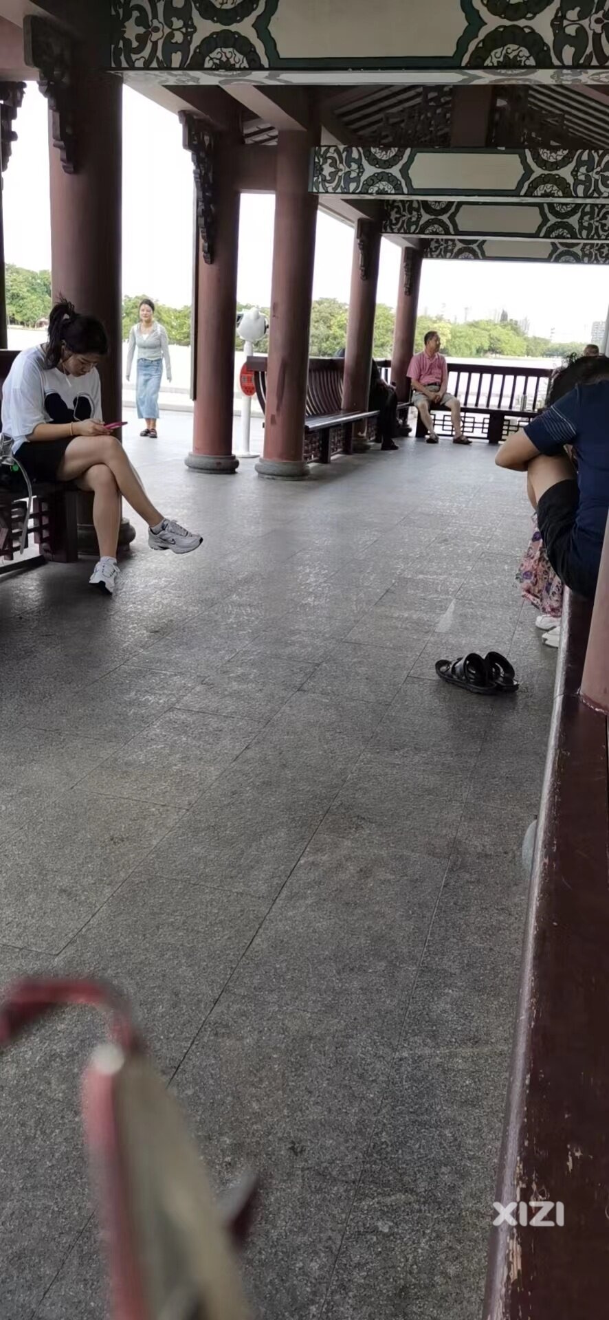 丰渚园卫生监督不到位