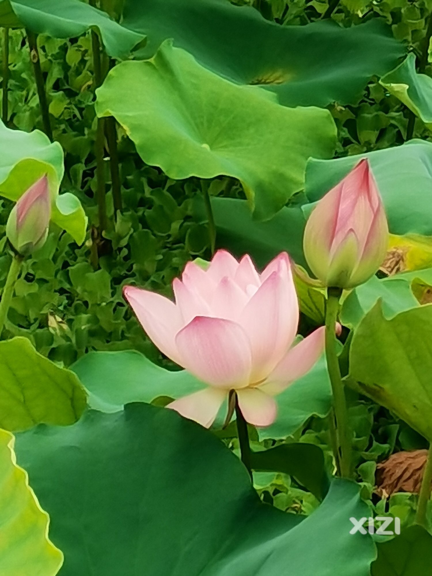 想配眼镜，不知道哪家