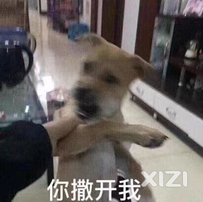 现在大家都是什么行情？