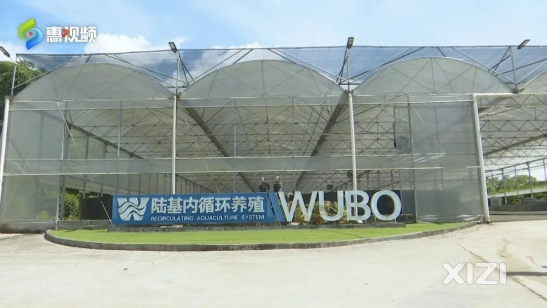 一个桶养万斤鱼！水产养殖有了新模式