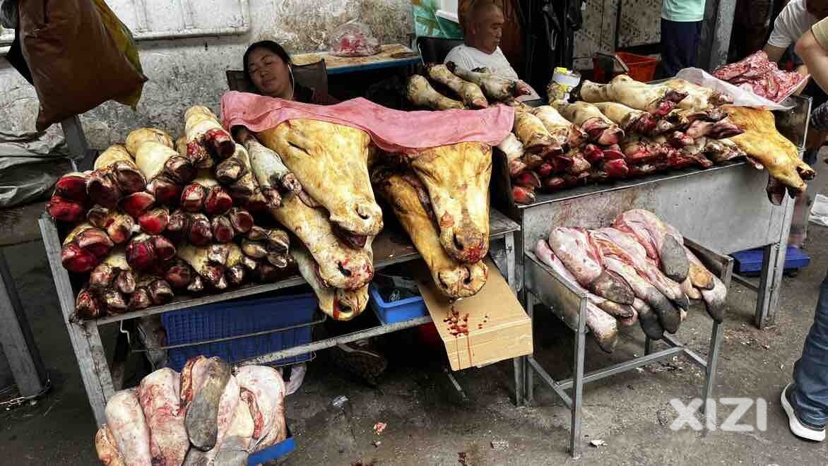 不是牛头就是牛脚