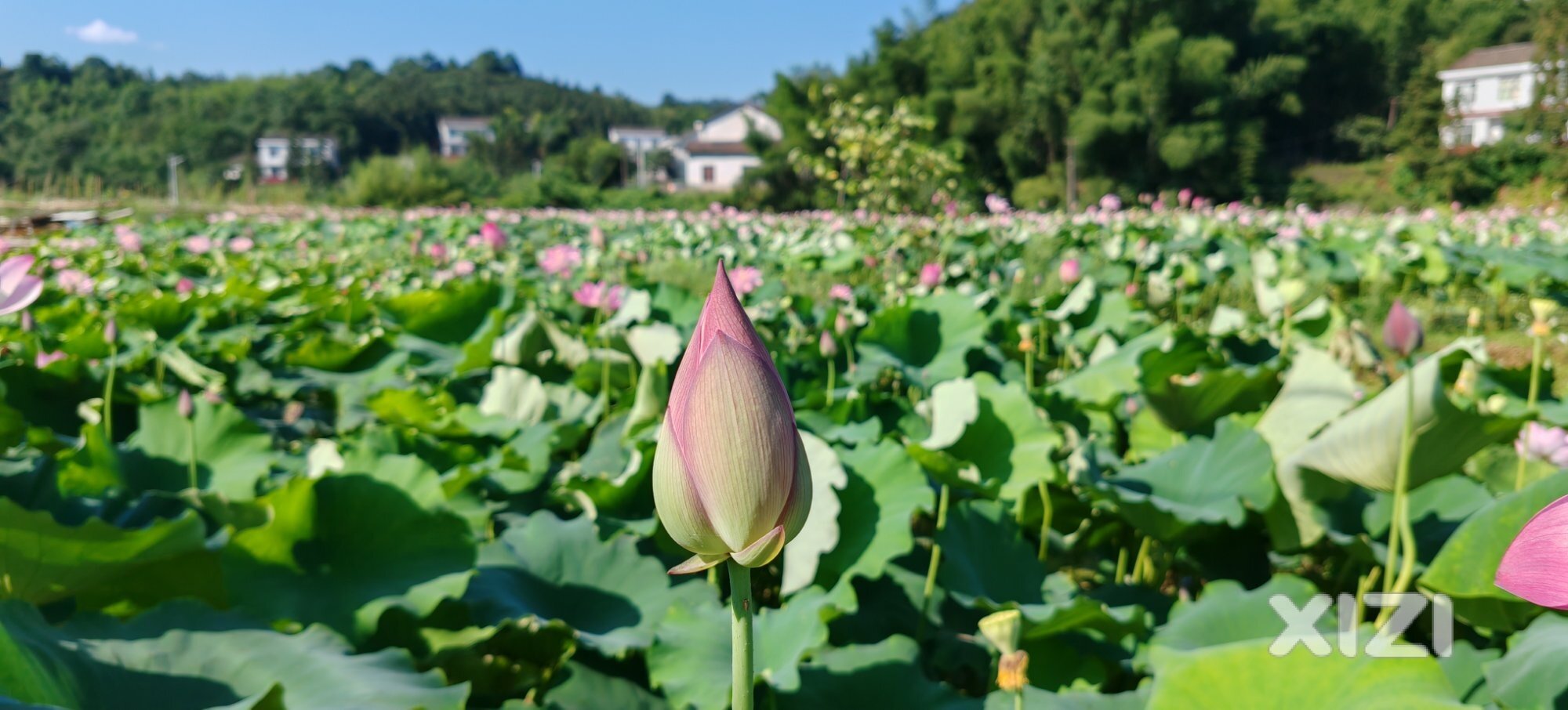 保持平常心态，坦然面对升学！