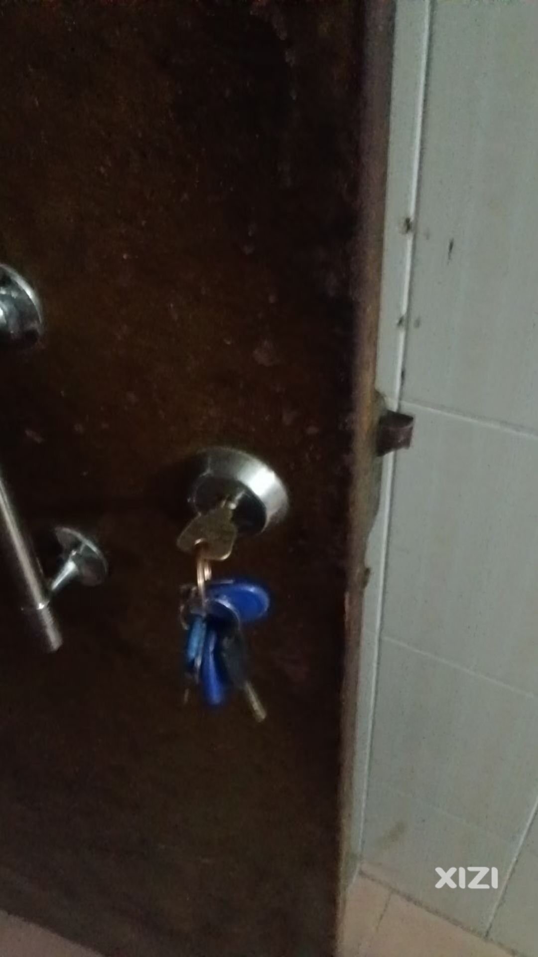 生活不易，要加多点热爱才行。