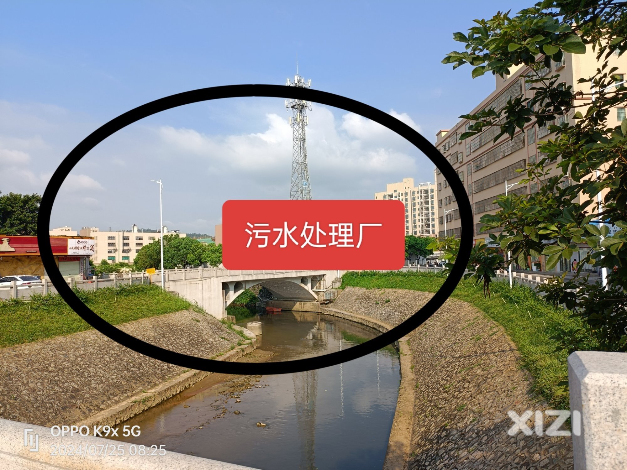 河水混浊脏飘浮物多……