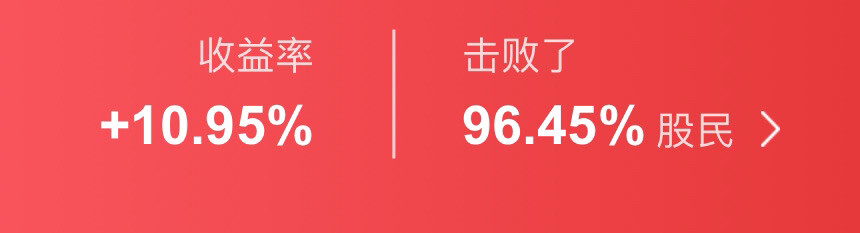 2024年股市目前战绩