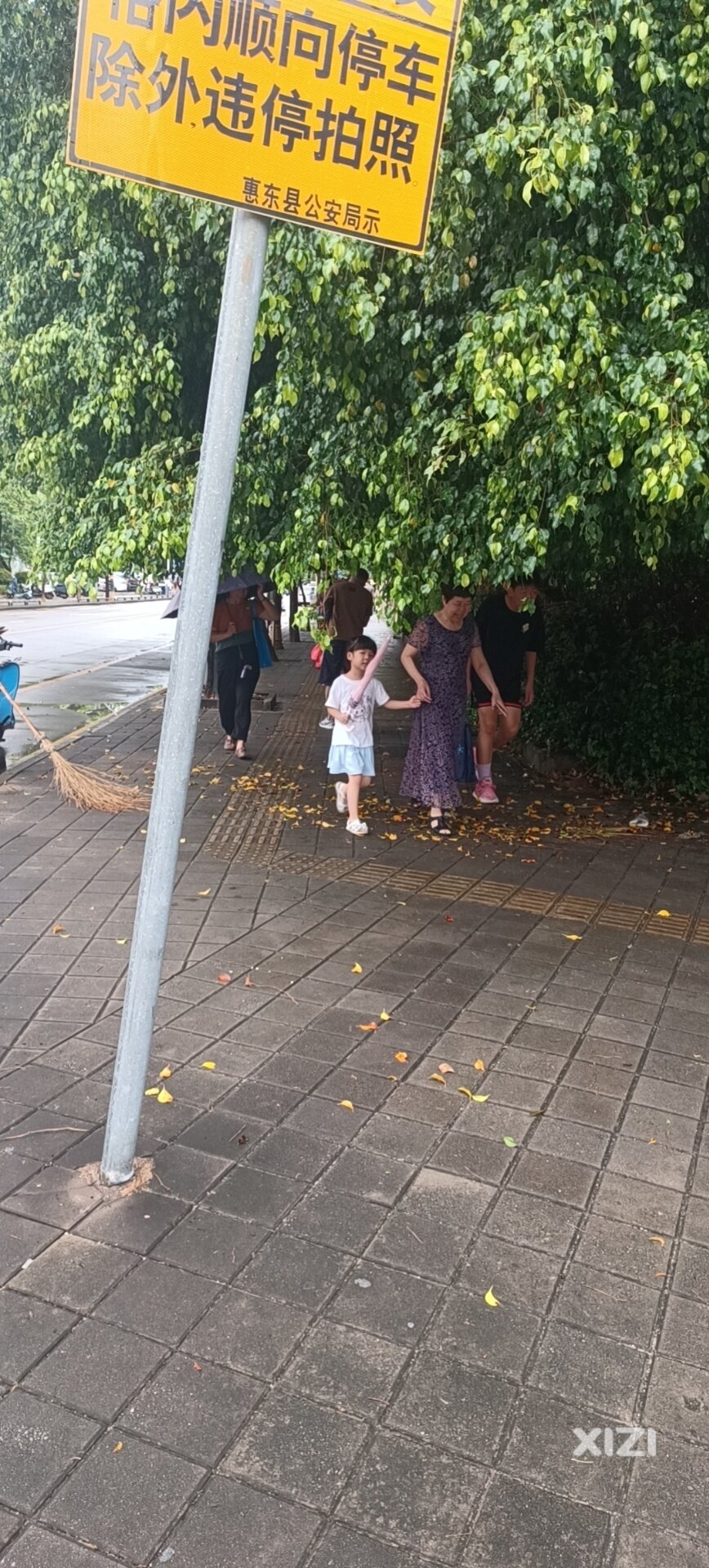 侨胜南路转文新路处有几棵长期以来无人修剪，特别是下雨行人都无法通过，