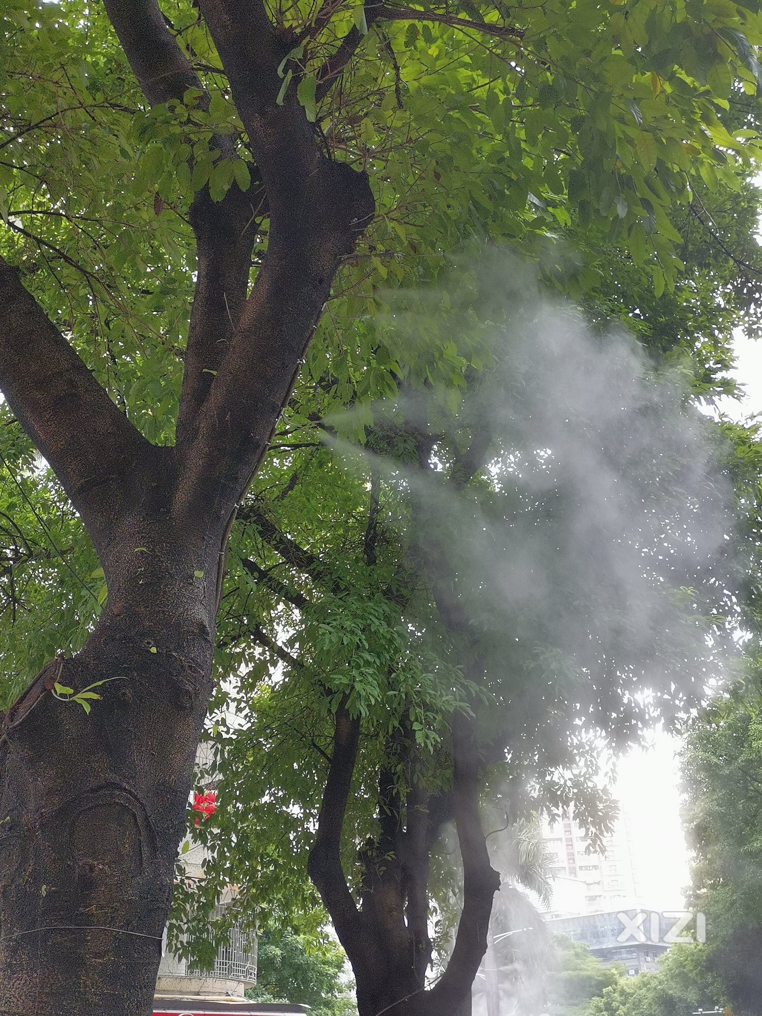 花边北路仙气飘飘。。