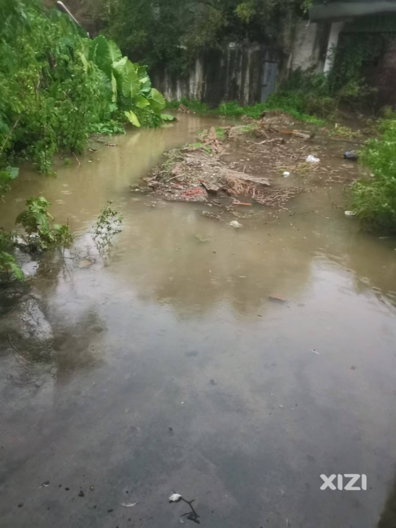 环境恶劣的三鸟市场