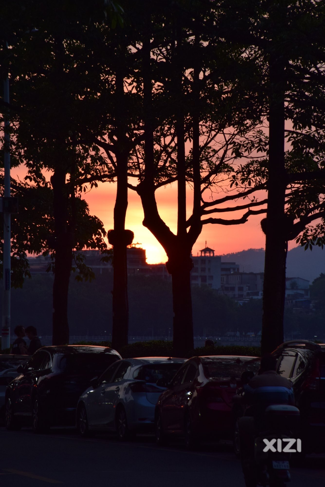 合江楼夜景