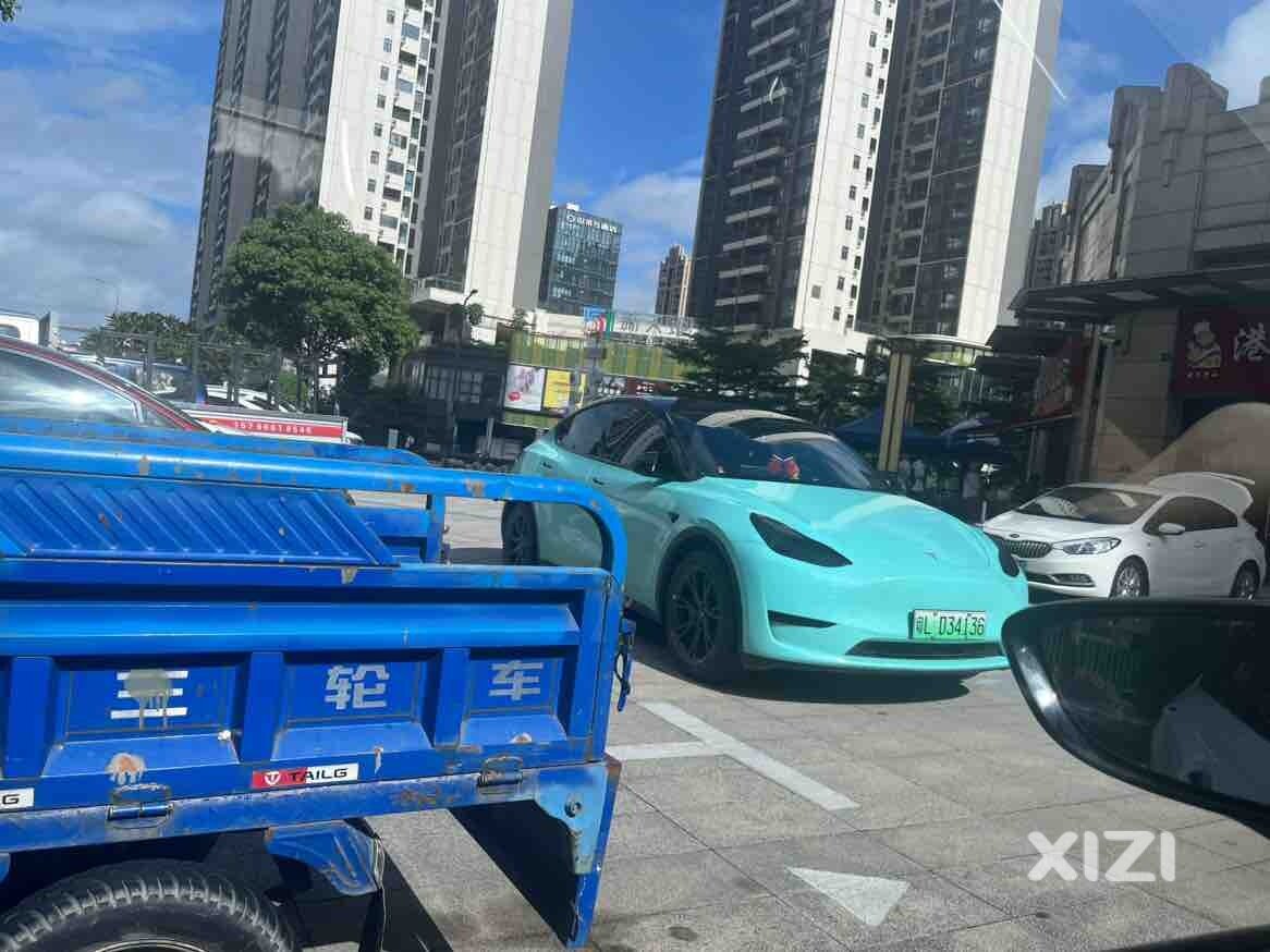 素质喂了狗都不吃